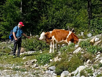 16. Seniorenwanderung der Naturfreunde - Hochweißsteinhaus