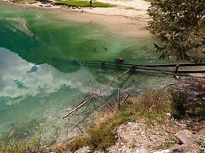 Wanderung der Naturfreunde - Pragser Wildsee - Grünwaldalm
