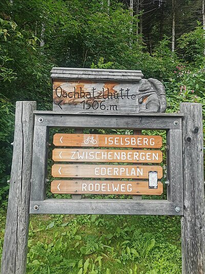 Wanderung der Naturfreunde - Lainacher Kuhalm - Ronahütte
