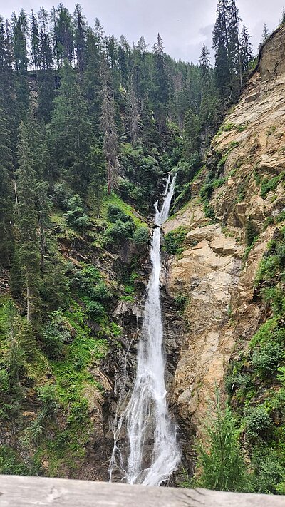 Randwanderung der Naturfreunde - HIRSCHBÜHEL-BLINDISALM-ALPE STALLE