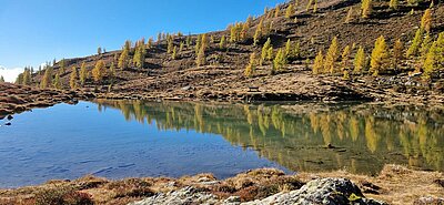 Wanderung der Naturfreunde - Winklerner Almsee