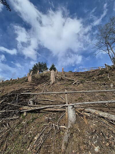 Wanderung der Naturfreunde - Jaggler Kreuz