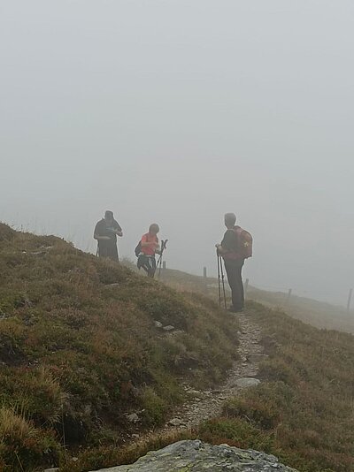 Wanderung der Naturfreunde - Leppner Alm