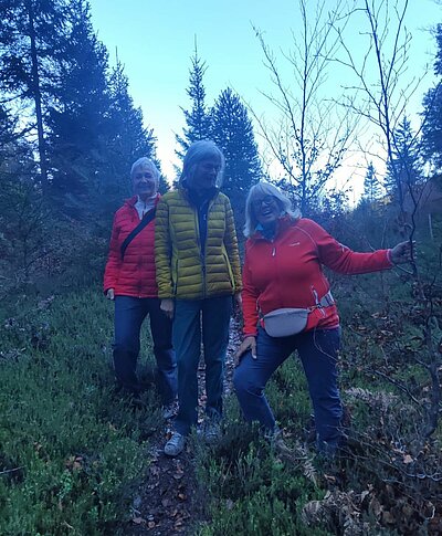 Wanderung der Naturfreunde - Tristachersee und Alter See Runde