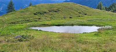 Wanderung der Naturfreunde - Obere Zraunighütte 2077m bzw. Stanitzkopf 2173m