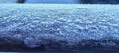 Wanderung der Naturfreunde - Tristachersee und Alter See Runde