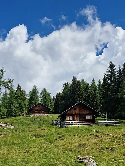 10. Seniorenwanderung der Naturfreunde - Winklerner Hütte