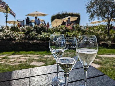 Busausflug der Naturfreunde - Prosecco Weinstraße