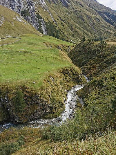 Wanderung der Naturfreunde - Jagdhausalmen und Pfauenauge