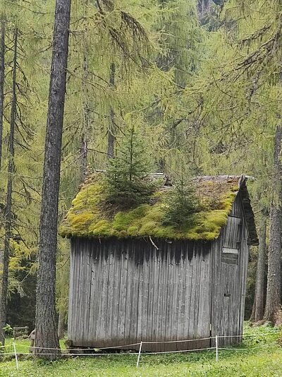 Wanderung der Naturfreunde - Talschlusshütte im Fischleintal