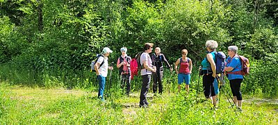 8. Seniorenwanderung der Naturfreunde - Iseltrail Teil 3