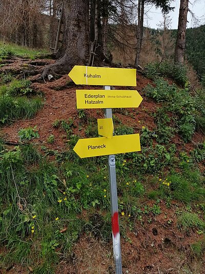 13. Seniorenwanderung der Naturfreunde - Lainacher Kuhalm