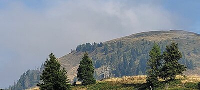 20. Seniorenwanderung der Naturfreunde - Zollnerseehütte