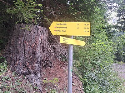 Wanderung der Naturfreunde - Lasnitzenhütte