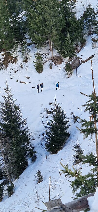 Rodeln der Naturfreunde - Würfelehütte