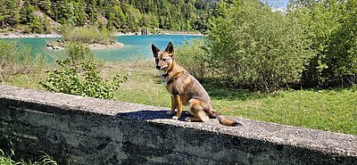 Wanderung der Naturfreunde - Oblasser Stausee
