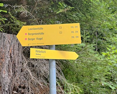 Wanderung der Naturfreunde - Lasnitzenhütte