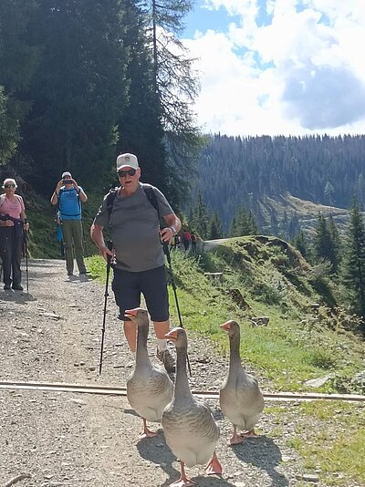 Wanderung der Naturfreunde - Silvesteralm