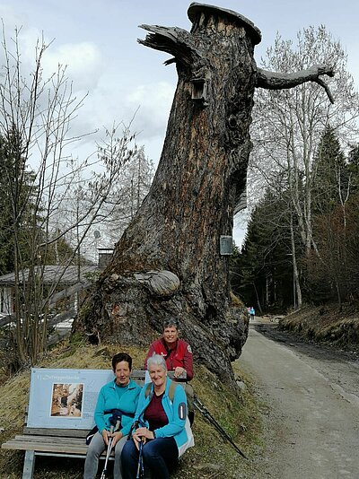 Frühlingswanderung der Naturfreunde am Iselsberg