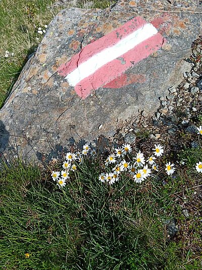 Sonntagswanderung der Naturfreunde - Hochschoberhütte