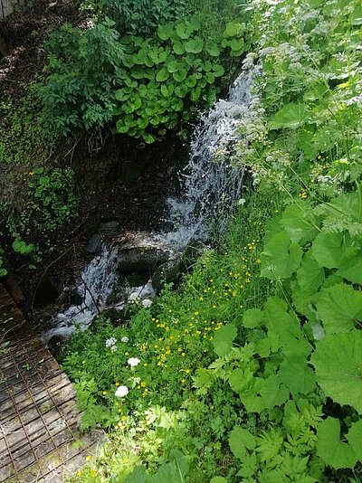 11. Seniorenwanderung der Naturfreunde - Penzelberg