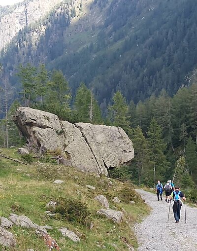 16. Seniorenwanderung der Naturfreunde - Hochweißsteinhaus