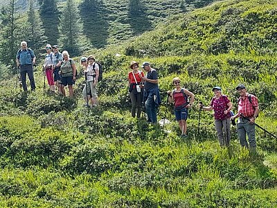 Wanderung der Naturfreunde - Stanitzkopf und/oder Obere Zraunighütte