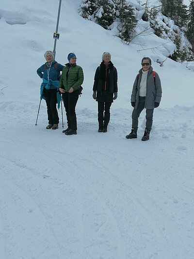 Rodeln der Naturfreunde in St. Jakob (Alpe Stalle)