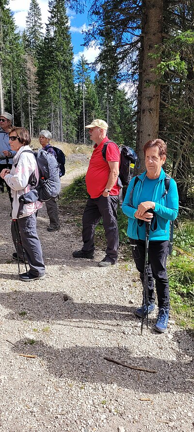 18. Seniorenwanderung der Naturfreunde 2022 - Nemes Alm Rundwanderung