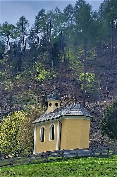 6. Seniorenwanderung der Naturfreunde - Reiter Kirchl