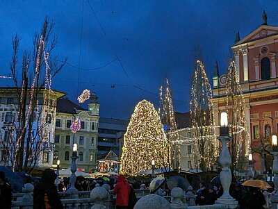 Naturfreunde-Ausflug zum Christkindlmarkt Laibach