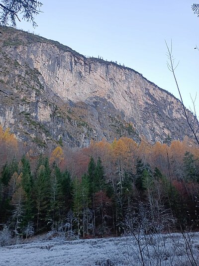 Wanderung der Naturfreunde - Tristachersee und Alter See Runde