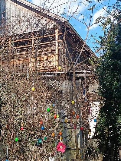 Wanderung der Naturfreunde - Oberlienz