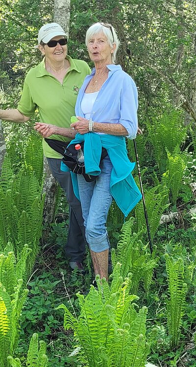 Wanderung der Naturfreunde - Iseltrail 1 (Pfister bis Glanzer Brücke)