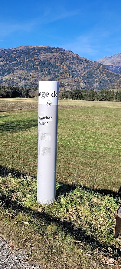Abschlusswanderung der Naturfreunde - Sonnenrunde