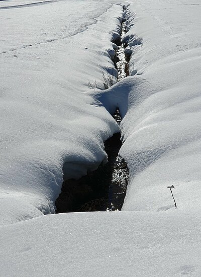 Schneeschuhwanderung der Naturfreunde in Obertilliach