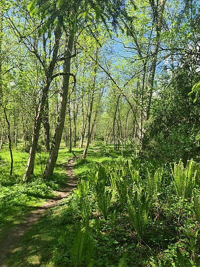 Wanderung der Naturfreunde - Iseltrail 1 (Pfister bis Glanzer Brücke)