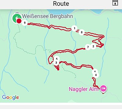 Wanderung der Naturfreunde - Kohlröslhütte 1534m