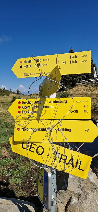 Wanderung der Naturfreunde - Zollnerseehütte