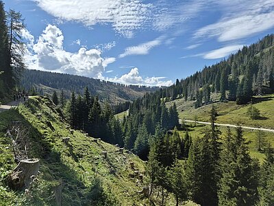 Wanderung der Naturfreunde - Silvesteralm