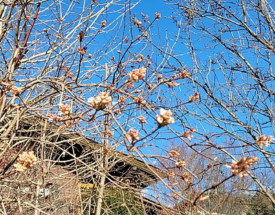 Wanderung der Naturfreunde - Oberlienz
