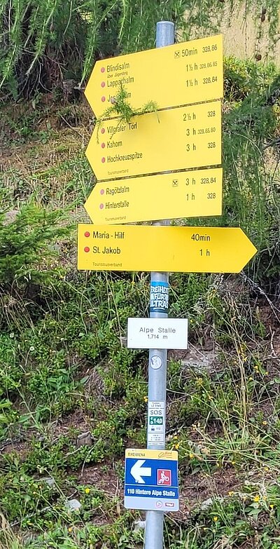 Randwanderung der Naturfreunde - HIRSCHBÜHEL-BLINDISALM-ALPE STALLE