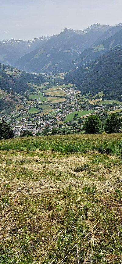 11. Seniorenwanderung der Naturfreunde - Penzelberg