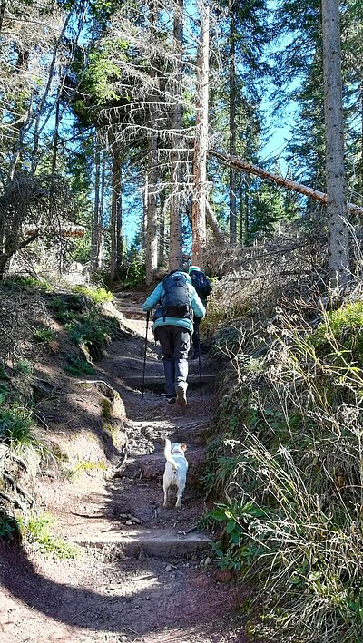 18. Seniorenwanderung der Naturfreunde 2022 - Nemes Alm Rundwanderung