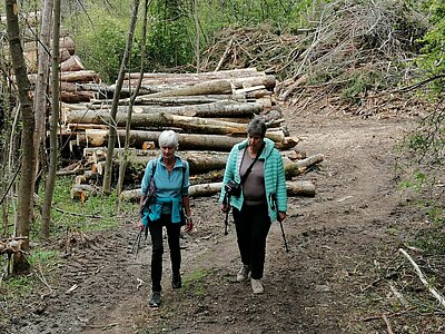 4. Seniorenwanderung der Naturfreunde - Römersteig