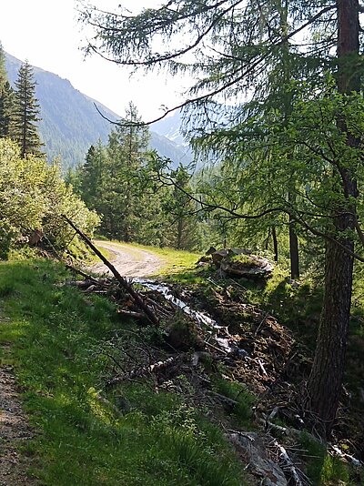 Sonntagswanderung der Naturfreunde - Hochschoberhütte