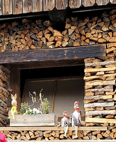 Frühlingswanderung der Naturfreunde am Iselsberg