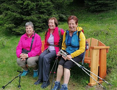 10. Seniorenwanderung der Naturfreunde - Winklerner Hütte