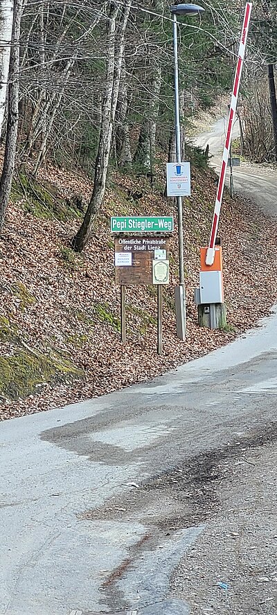 Naturfreunde-Wanderung Schlossberg