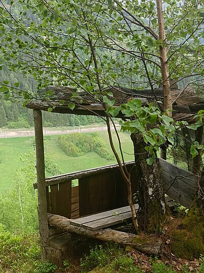 Wanderung der Naturfreunde - Danielsberg